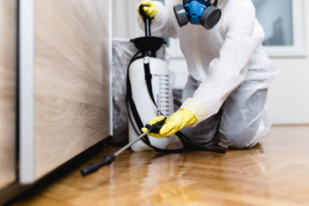 Best Mosquito Control Services  in Montello, WI